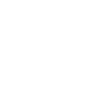 feature-item-1