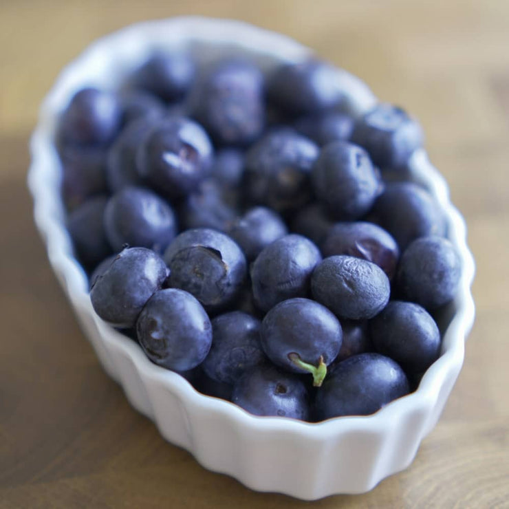 Dried Blueberries for Dogs
