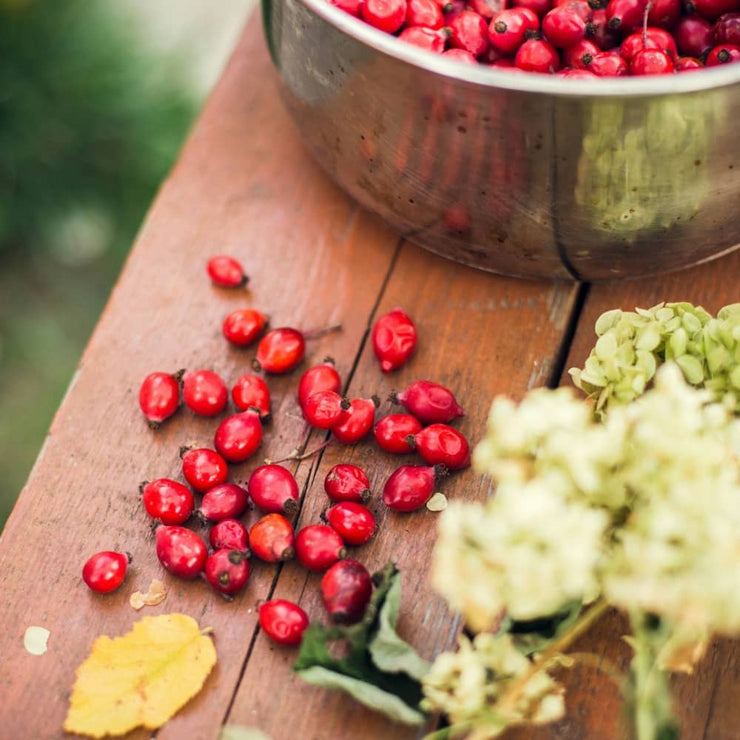 Dried Goji Berries for Dogs